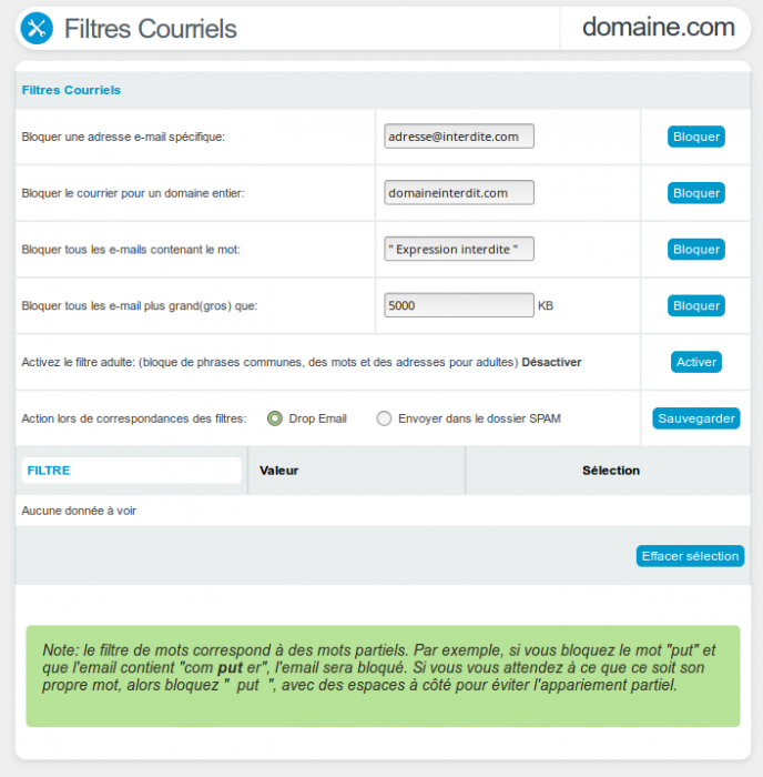 directadmin-filtres-spam-options.png